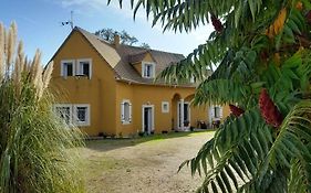 Villa Suzana